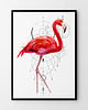 plakaty Plakat Flamingo 1