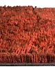 dywany Dywan wełniany Naranguru 170x240 cm, Lorena Canals 2