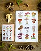 grafiki i ilustracje Grzyby- grafika na ścianę- ilustracja- grzybki 2