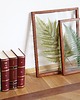 inne Pteris Fern Light Green XL 1