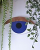 Ozdoby na ścianę Oko 3D Tuareg orzechowa powieka 3