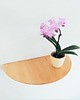półki DREWNIANA PÓŁKA PÓŁOKRĄGŁA - Sosnowa 5