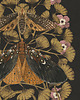 grafiki i ilustracje Moths & Maidenhair Fern, ćmy plakat, plakat botaniczny, adiantum, 2