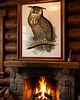 grafiki i ilustracje PLAKAT sowa, stara grafika, vintage dekoracja ścienna, puchacz ptak 8