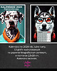 kalendarze i plannery Kalendarz 2024 - Hipsterskie Psy 13x18 cm 1