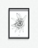 plakaty Plakat  Passiflora caerulea 3