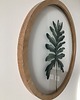 Ozdoby na ścianę Szklany obraz - Filodendron - Wall Me 6