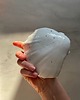 pojemniki na biżuterię Podstawka na Biżuterię Palo Santo Ceramiczna Muszelka w Czarno Złote Ciapki 5
