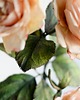 dodatki - różne Krepinowa dekoracja botaniczna - róża 2
