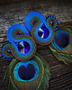 kolczyki soutache Peacock Eye-kolczyki soutache 3