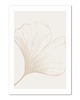 plakaty Plakat  - Minimalistyczna Natura Boho II 1