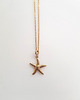 wisiory Naszyjnik z rozgwiazdą Starfish 1