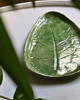 patery i talerze Opowieść lasu - zielona patera z liściem szczawiu 4