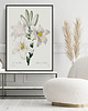 plakaty Plakat White flowers 3