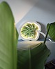 lampy do pokoju dziecka Lampka ścienna Unky - LIŚĆ Monstera 2