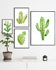 plakaty Plakat KAKTUS, grafika, obraz BOTANICZNY zielony 2 1