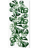 tapety i naklejki ścienne Tapeta  młodzieżowa Monstera Leaf 2