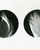 fotografia Pióra_2_ 1