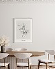 grafiki i ilustracje Jaśmin  print 50x70 cm 5