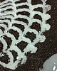 podkładki do kuchni Ceramiczna podstawka pod łyżki Czarna koronka 2