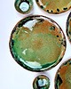 patery i talerze Talerz ceramiczny 1