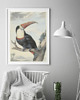 plakaty PLAKAT vintage ilustracja grafika flaming 3