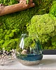 dodatki - różne Terrarium natura zamknięta w szkle 2