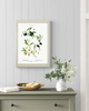 grafiki i ilustracje PLAKATY botaniczne ilustracje oliwki 2