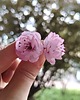 kolczyki z masy plastycznej Kolczyki sakura delikatne kwiaty półprzezroczyste handmade stal 4
