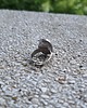pierścionki - różne Kamień księżycowy - pierścionek regulowany 3