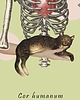 plakaty Plakat A3 - Cor humanum, Serce człowieka 4