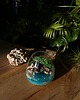 dodatki - różne Terrarium natura zamknięta w szkle 1