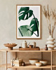 fotografia PLAKAT MONSTERA LIŚCIE BOTANICZNY z monsterą 4