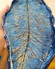 patery i talerze Patera ceramiczna liść 3