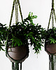 kwietniki Kwietnik makrama FERN FLOWER 2 2