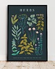 plakaty Plakat botaniczny "Herbs" 30x40 4
