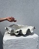 figurki i rzeźby Ceramiczna Rzeźba Muszla XXL Mother of Shells no 10 1