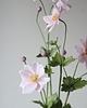dodatki - różne Dekoracja botaniczna, kwiaty z papieru - anemony, zawilce 2