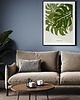 plakaty Plakat Monstera 3