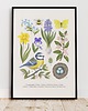 plakaty Plakat "Wiosna" A4 1