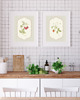 grafiki i ilustracje DWA PLAKATY galeria botaniczne owoce 1