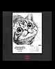 kalendarze i plannery Kalendarz 2025 13x18 cm lub 15x21 cm - Koty czarno-białe 4