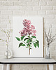 plakaty Plakat Lila vintage 4