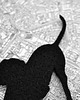 broszki FeltDog 6 3