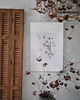 grafiki i ilustracje Ginkgo biloba 50x70 cm 4