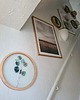 Ozdoby na ścianę Szklany obraz - Filodendron - Wall Me 17