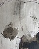 grafiki i ilustracje Abstrakcja nr 04 kolekcja Ogród Eden, oryginał 3