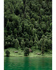 fotografia Zielony krajobraz 1