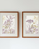 grafiki i ilustracje ZESTAW 2 PLAKATÓW  , grafiki kwiaty, rysunek botaniczny 3