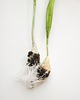 inne Dekoracja botaniczna, obraz - szachownica kostkowata 4